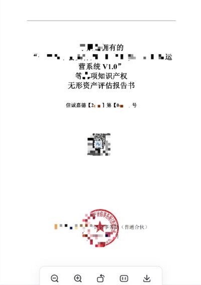 無形資產評估報告產品示例