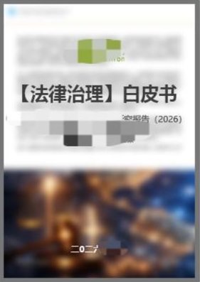 白皮書產品示例